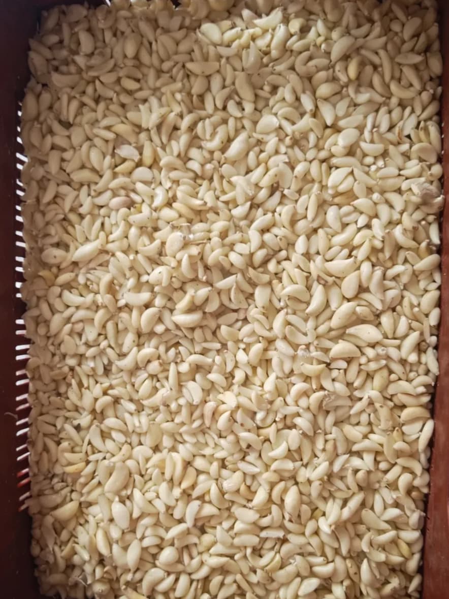 Freshly Peeled Garlic