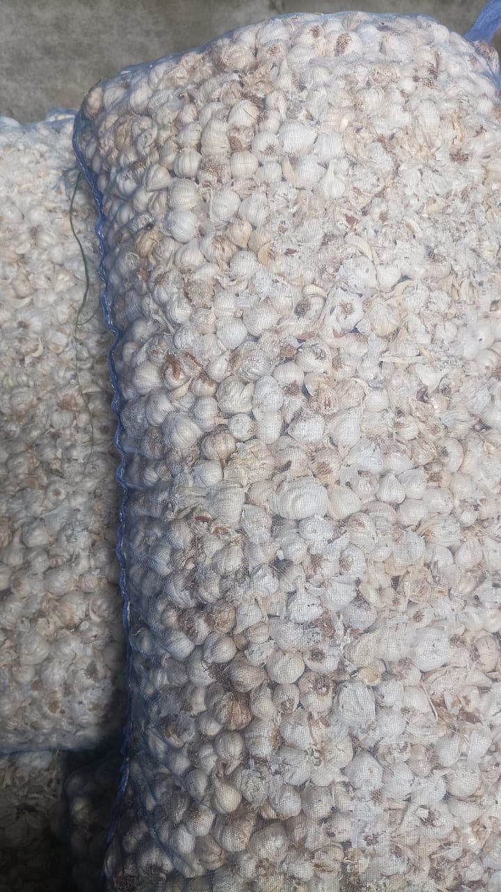 Raw Garlic