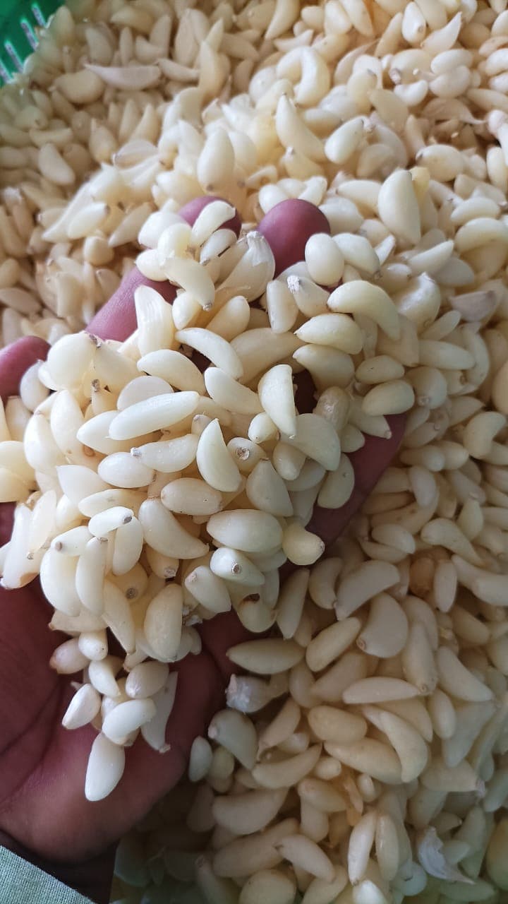 Garlic in Brine